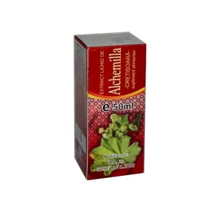 Alchemilla
