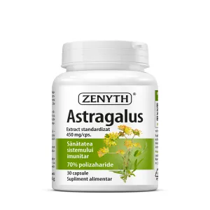 Astragalus
