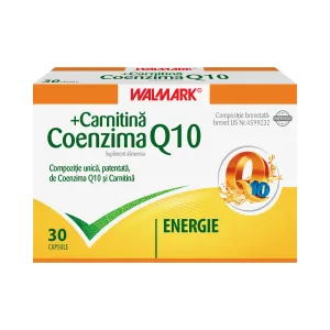 Coenzima