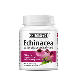 Echinacea