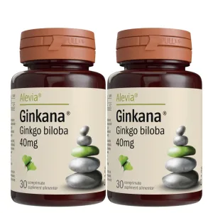 Ginkana