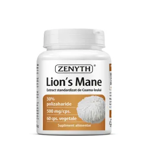 Lion'S