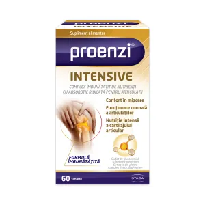 Proenzi