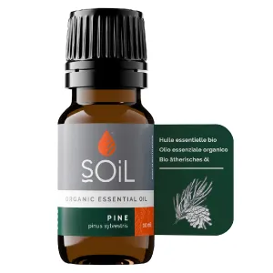SOiL Ulei Esential Pin 100% Organic ECOCERT, 10 ml, Innovoris Labs  